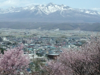 中富良野地区