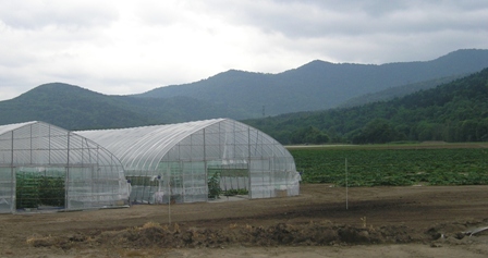 南富良野町　台風災害より１年　ミニトマトハウス２棟建ちました